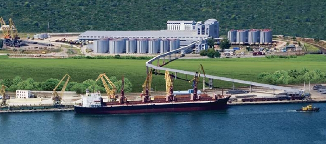 В Черноморске на масложиркомбинате сообщают про подготовку к рейдерскому захвату, в полиции это опровергают  