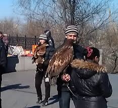 В Одессе арестовали краснокнижного орла