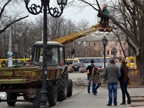 На Дерибасовской режут деревья и снимают плитку ФОТО