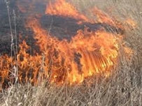 В Одесской области объявлено о чрезвычайной пожарной опасности