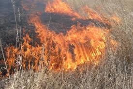 В Одесской области объявлено о чрезвычайной пожарной опасности