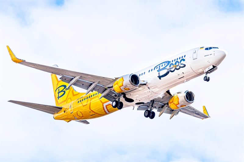 Авиакомпания Bees Airline начала продажи билетов на рейсы из Одессы и Киева в Грузию и Армению