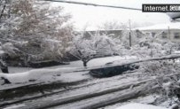 Погодный «сюрприз»: летом Грузию накрыло снегом