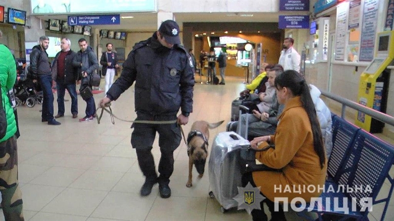 В одесском аэропортру вместе с полицейскими работают кинологи