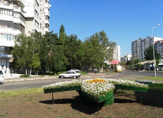 На одесской клумбе расцвел «Лотос»
