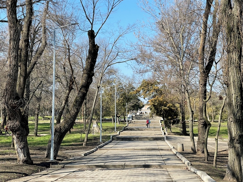 Стало известно, как будут восстанавливать Дюковский парк в Одессе